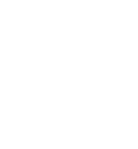 51%